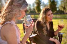 Small-Group Wine Tour to Private Locations in Santa Barbara 