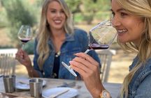 Small-Group Wine Tasting Tour of Santa Barbara Wine Country