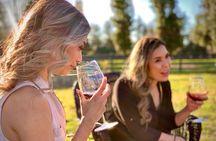 Small-Group Wine Tasting Tour of Santa Barbara Wine Country