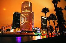 Tampa Historic VIP Boutique Private City Tour 