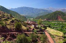 Private Day Trip to the High Atlas Mountains from Marrakech