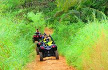 Off Road Buggy Adventure