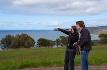 Walk with Wildlife: Guided Tour in Great Ocean Road