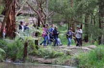 Walk with Wildlife: Guided Tour in Great Ocean Road