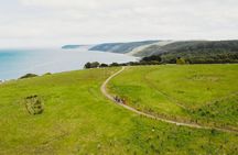 Walk with Wildlife: Guided Tour in Great Ocean Road