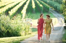 Montalto Vineyard: Mornington Peninsula Discovery Wine Tasting and Lunch