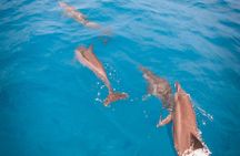 Half-Day Snorkeling Tour from Papeete