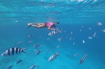Half-Day Snorkeling Tour from Papeete