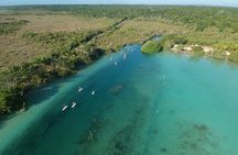 Nature Glide: SUP Across Crystal Waters of Bacalar