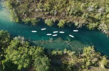 Nature Glide: SUP Across Crystal Waters of Bacalar