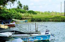 Koggala Lake Boat Tour