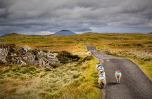  Haunted Bog road tour. Galway. Private guided. 3 hours