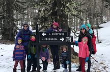 Trekking Andean Lagoons + Mapuche Cuisine