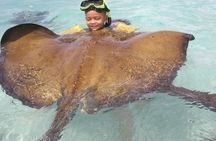 Stingray City