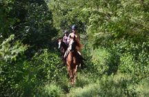 Award-winning Private Classic Horseback Ride
