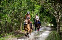 Award-winning Private Classic Horseback Ride