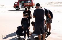 Port Stephens 4WD Beach Sand Dune Adventure