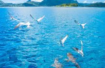 Full Day Lagoon Group Tour in Bora Bora with Lunch
