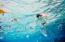 Full Day Lagoon Group Tour in Bora Bora with Lunch