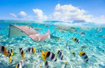 Full Day Lagoon Group Tour in Bora Bora with Lunch