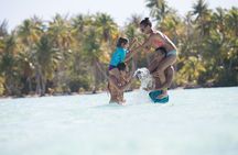 Half Day Private Lagoon Snorkeling Experience 