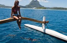Half Day Private Lagoon Snorkeling Experience 
