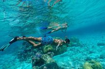 Half Day Private Lagoon Snorkeling Experience 