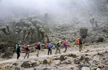 Kilimanjaro-marangu Route 6 Days Itinerary