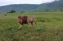 5 Day Camping Safari to Lake Manyara, Serengeti and Ngorongoro Crater