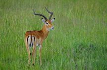 5 Day Camping Safari to Lake Manyara, Serengeti and Ngorongoro Crater