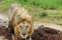 5 Day Camping Safari to Lake Manyara, Serengeti and Ngorongoro Crater