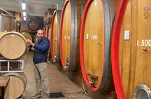 Barolo & Barbaresco Wine Experience with a Local Winemaker / Asti