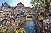 Segway Tours 2h in Colmar