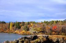 Day Trip to Lake Mývatn And The Nature Baths from Akureyri