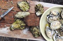 Peljesac Wine & Ston Oysters PRIVATE HALF DAY SHORE TOUR