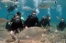 Beginner dive from Playa Chica with Instructor