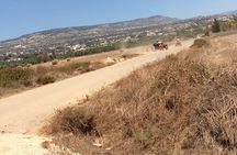  4 hour Quad & Buggy Safari Akamas(lara Bay) & Adonis Falls