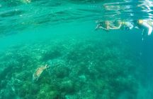 Kaneohe Sandbar Morning Snorkeling Tour