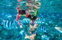 Reef Discovery Private Treasure Hunt