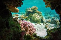 Reef Discovery Private Treasure Hunt