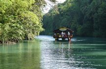 Private Bohol and Chocolate Hills with Loboc River Cruise