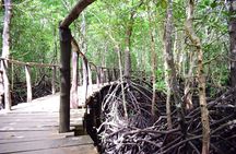Private Tour in Jozani Forest with pick up 