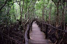 Private Tour in Jozani Forest with pick up 