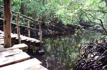 Private Tour in Jozani Forest with pick up 