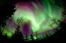 Fall Color Tour in Yukon from Whitehorse