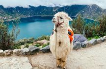 Quilotoa Tour Full Day With Lunch