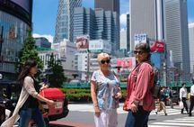 Tokyo Layover Tour with a Local: Private and Tailored to Your Needs 