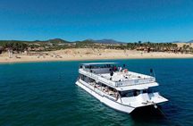 Whale Watching on 2 Level Big Boat with Breakfast and Drinks INCLUDED