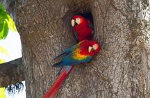 Carara National Park 