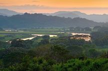 Carara National Park and Crocodile River Cruise